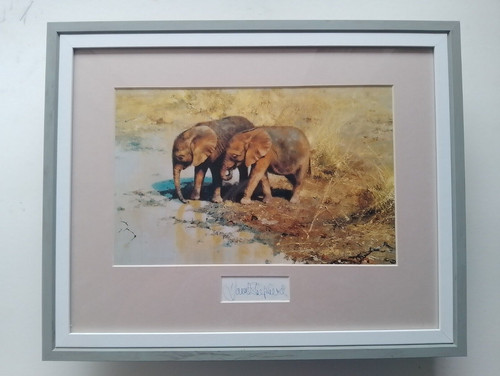 David shepherd print - david,