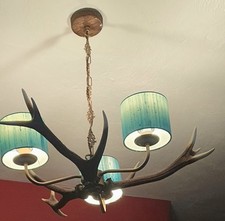 David Hunt Lighting, ceiling Pendant, Rustic Antler, 3 Lights With Shades
