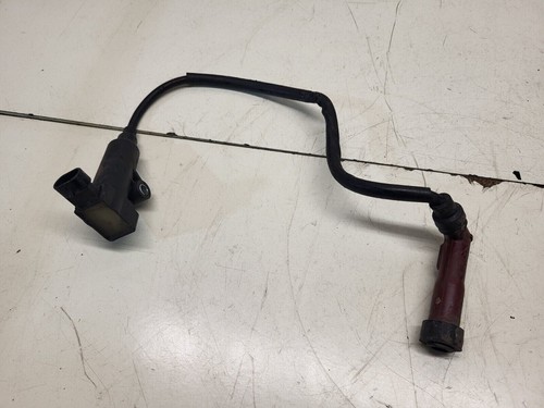 Lexmoto lxr125 coil - lexmoto, 2020
