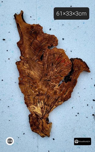 Olive root wood tree - root,