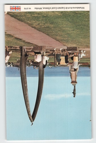Postcard whalebone arch and - -,