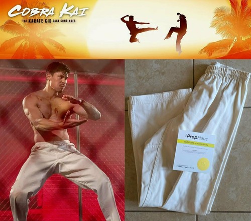 Cobra kai sensi - cobra, wolf/lewis