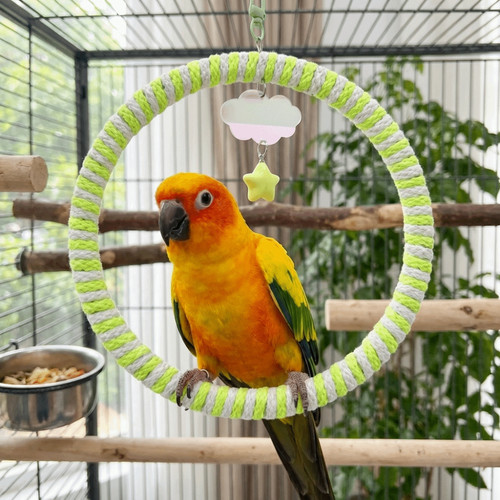 Hanging parrot round swing - round,