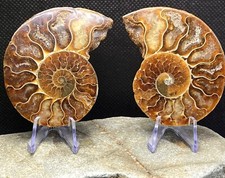 150g 9cm 2x - 150g,, of