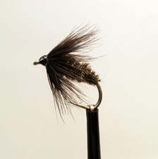 3 x BLACK AND PEACOCK SPIDER