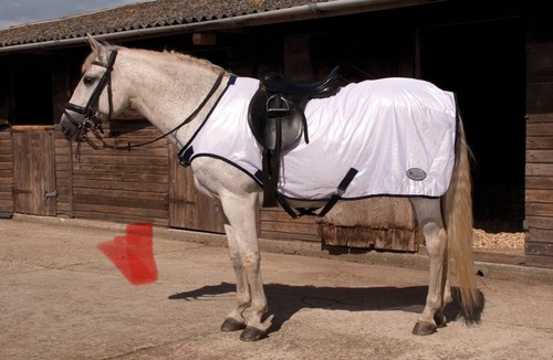 Rhinegold ride exercise - rhinegold,