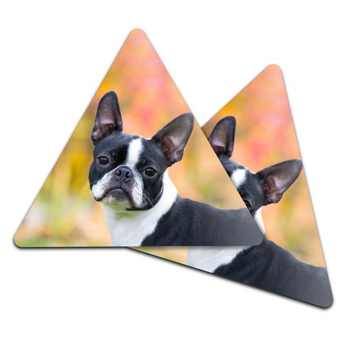 Triangle coaster cute - coaster,
