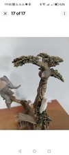 Tuskers Elephant Meerkat