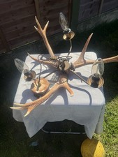 David Hunt Antler Chandelier