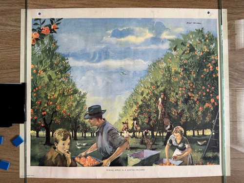 Macmillan school poster 31 - macmillan's,