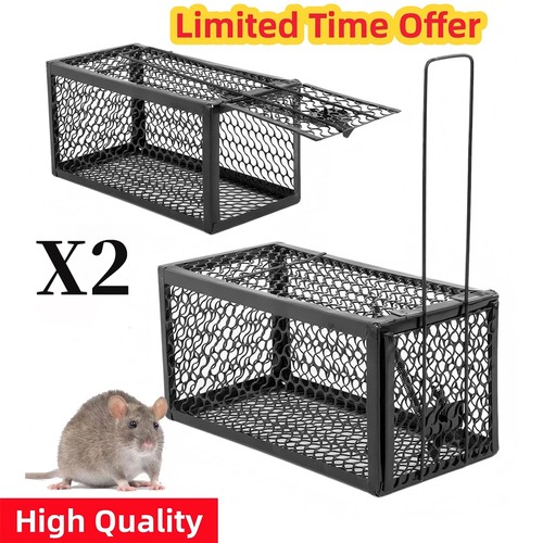 Rat catcher spring - 2,