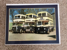 Birmingham City Transport 1904-69 Bus Birthday Card