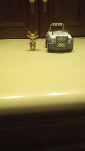 Pawpatrol jungle vehicle - jungle, and