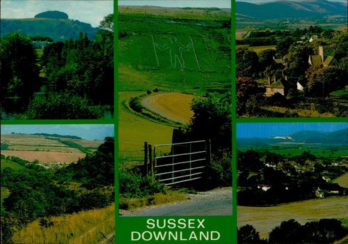 Salmon postcard sussex - j.,