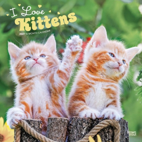 Browntrout love kittens - browntrout,