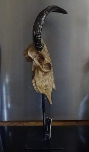 Carved resin ram - carved, skull