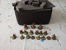 Bloodbowl chaos dwarf team