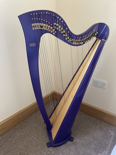 Purple gwennol teifi lever - teifi,