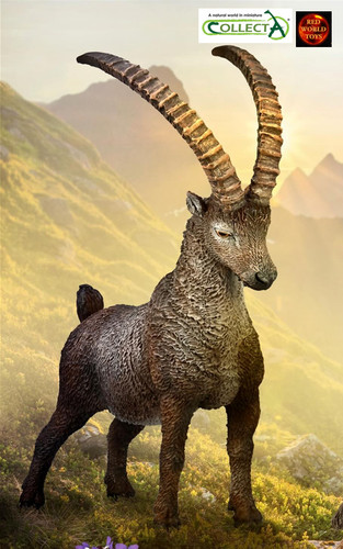 Alpine ibex steinbock goat - alpine,