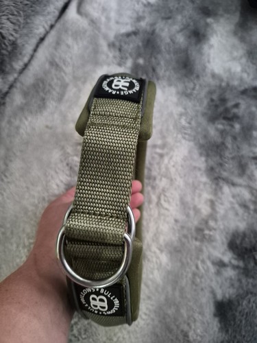 Bully billows martingale - bully,