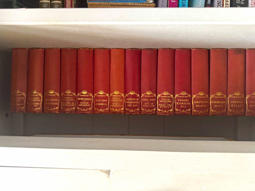 Charles dickens leather bound - charles,