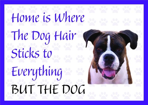 Home where the - is,