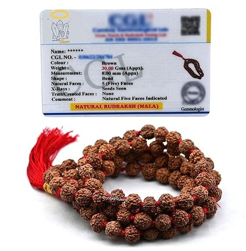 Rudraksha mala for men - rudraksha, men,