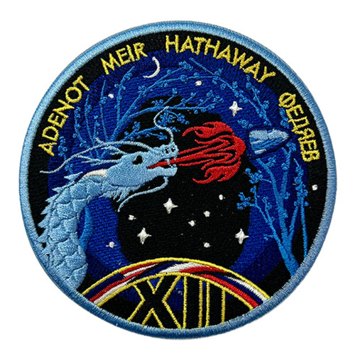Nasa crew embroidered - 12,