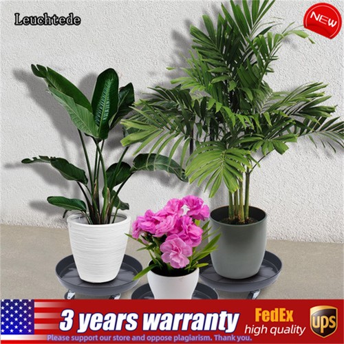 Pack plant dolly rolling - 3,