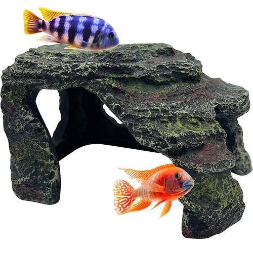 Mascot pets reptile rock cave - pets,