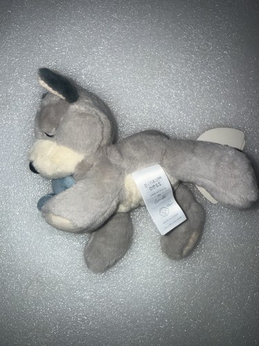 Olli ella binky - ella, puppy