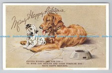 R803834 Many Happy Returns Dogs Valentine Mabel Gear Birthday