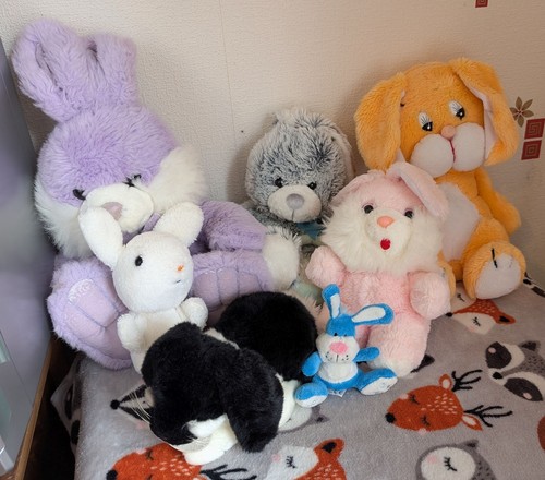 Bunny rabbit soft - bunny,