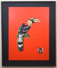 Great Hornbill. Original enamel painting on panel, signed and dated 1971