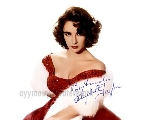 Elizabeth taylor x10 - elizabeth, 8"x10"
