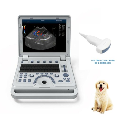 Veterinary ultrasound - us,