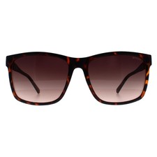 Guess Sunglasses GF5082 52F