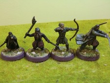 WARHAMMER LOTR -  PAINTED AND BASED FELLOWSHIP (PLASTIC)