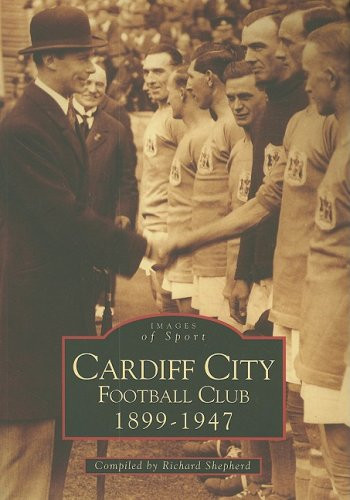 Cardiff city football club - city,