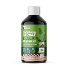 Fungus Gnat Larvae Killer