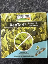 Topbuxus XenTari Boxwood