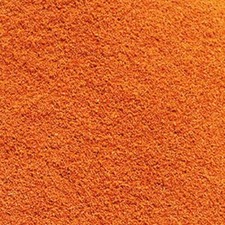 AST  Premium Decapsulated  brine shrimp eggs fry first food