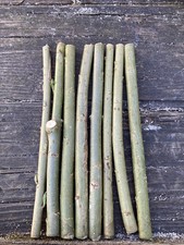 8 x 20cm Chunky Hybrid Willow