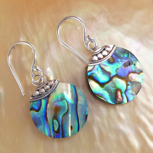 Small round paua abalone - round, shell
