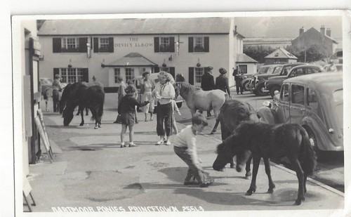 Social history princetown - -,