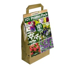 101 Summer Flowering Bulbs