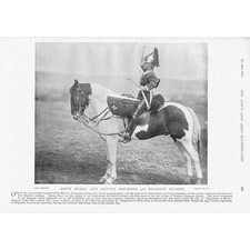 3rd Dragoon Guards Drum Horse