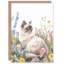 Ragdoll Cat Lover Pet