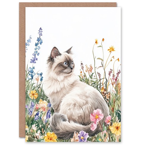 Ragdoll cat lover - ragdoll, pet