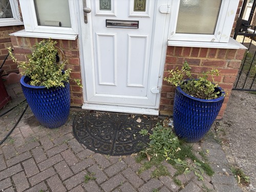 Set similar blue - blue, glazed